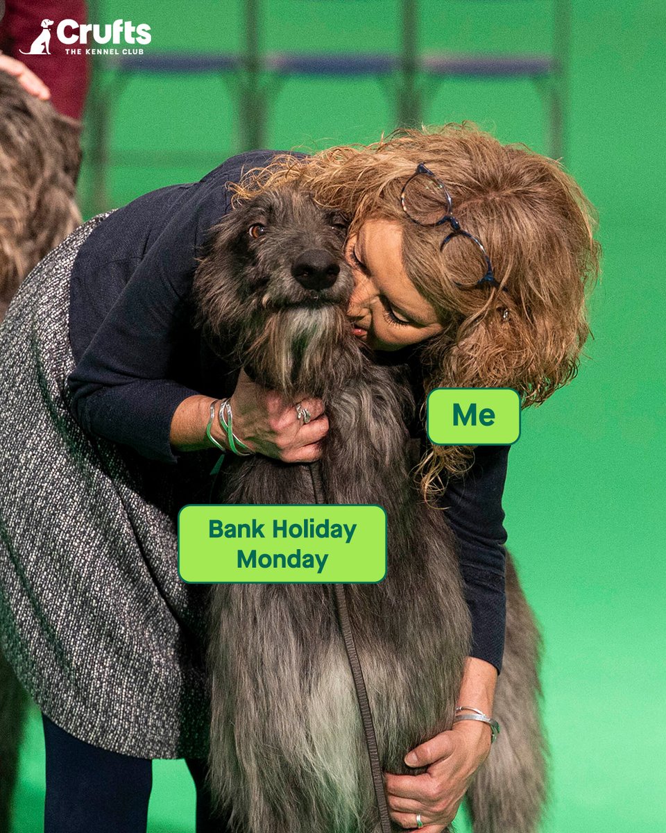 Guess who's back to shoo that Sunday feeling 😎
#Crufts #DogLovers