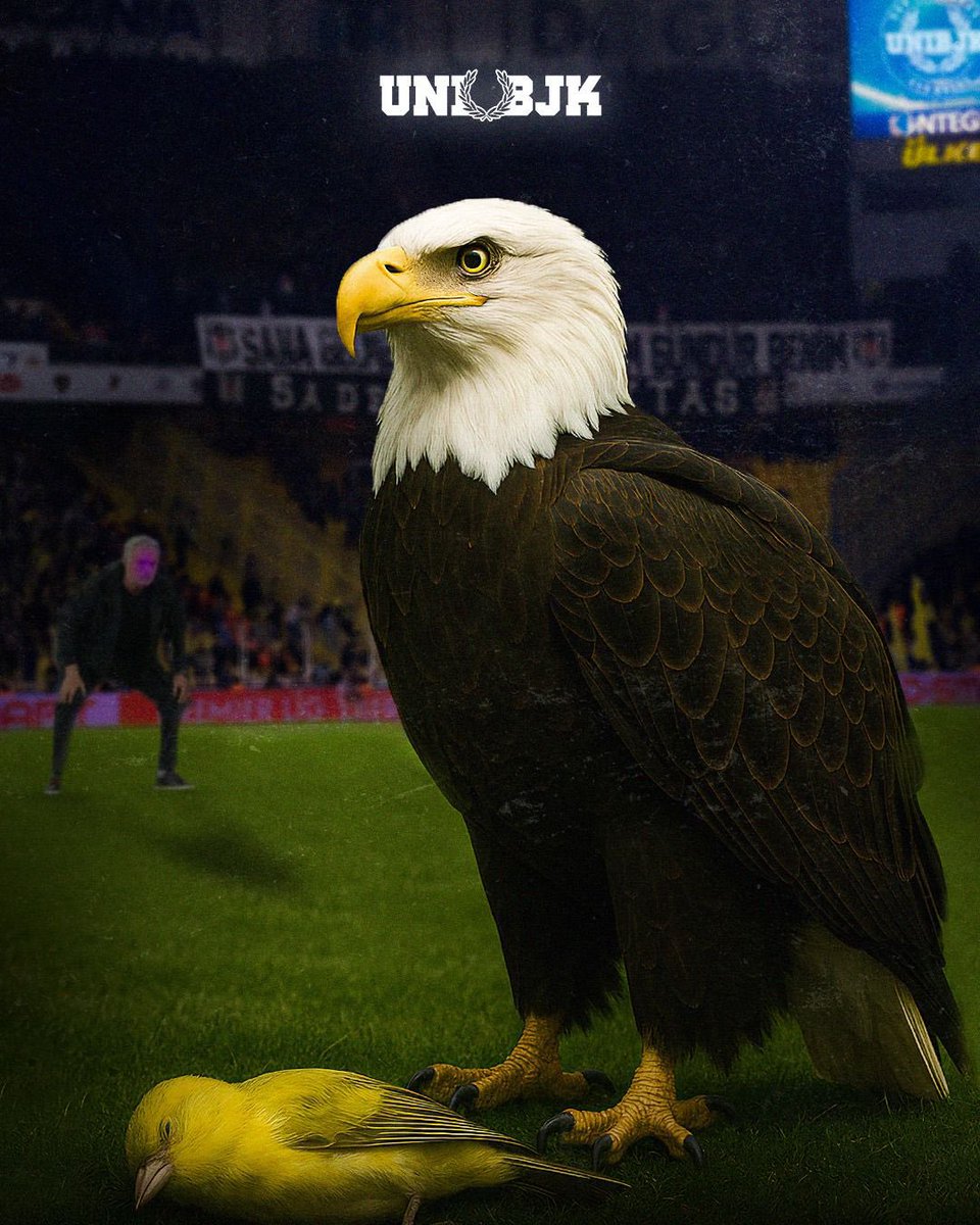 BİR TAŞ ATTIM HAVAYA… 🤫🦅
