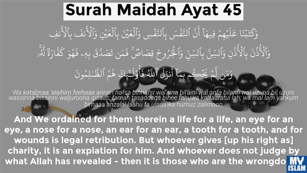 Wassafa || وسّافة tweet media