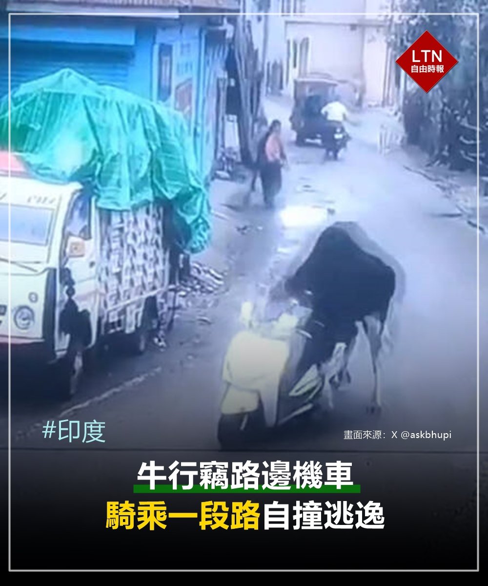 ltntw's tweet image. 偷車+無照駕駛+肇逃！阿牛我勸你還是逃快一點吧，被抓到不知道要開幾張罰單！
 
圖文報導：news.ltn.com.tw/news/novelty/b…

#牛 #印度 #機車