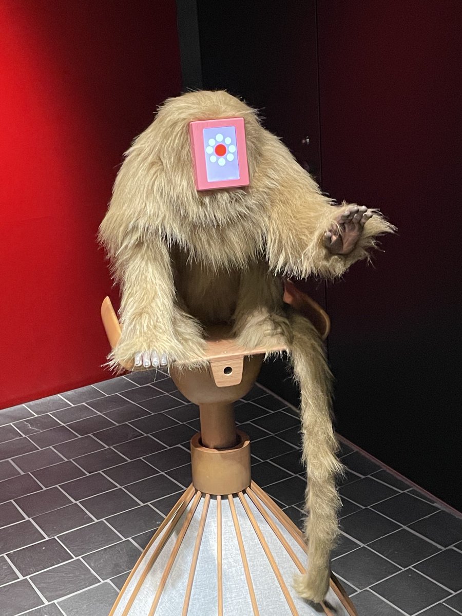 いのちの未来🤖石黒館 いろーんなロボット達が働いてて、特に案内役の