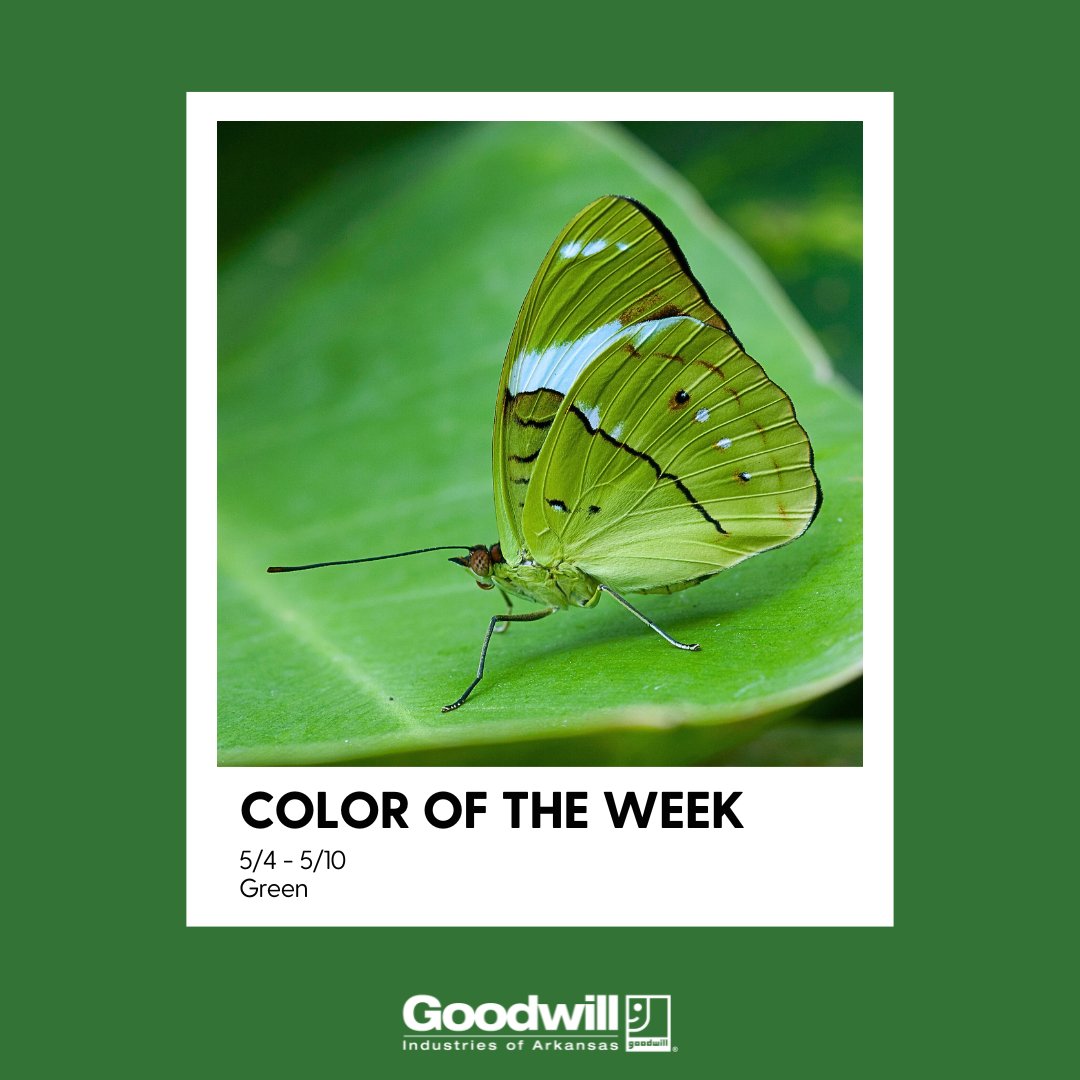 GoodwillAR's tweet image. The color of the week is GREEN! All items with green tags are 50% off. 💚🌱🏞️ #HappyThrifting