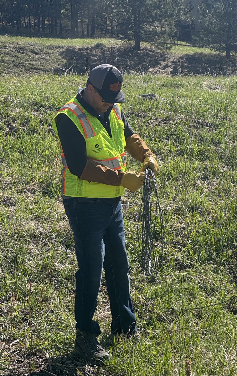 Lesley Dahlkemper (@ldahlkemper) on Twitter photo Thanks to 20 volunteers who removed one mile of barbed wire fencing at Elk Meadow in Evergreen to protect elk, deer, & other wildlife. The project is led by Wild Aware with <a href="/JeffcoOpenSpace/">Jeffco Open Space</a> <a href="/ColoradoDOT/">Colorado Department of Transportation (CDOT)</a>. Studies show barbed wire is harmful to wildlife and disrupts migration.🦌 Thanks to 20 volunteers who removed one mile of barbed wire fencing at Elk Meadow in Evergreen to protect elk, deer, & other wildlife. The project is led by Wild Aware with <a href="/JeffcoOpenSpace/">Jeffco Open Space</a> <a href="/ColoradoDOT/">Colorado Department of Transportation (CDOT)</a>. Studies show barbed wire is harmful to wildlife and disrupts migration.🦌
