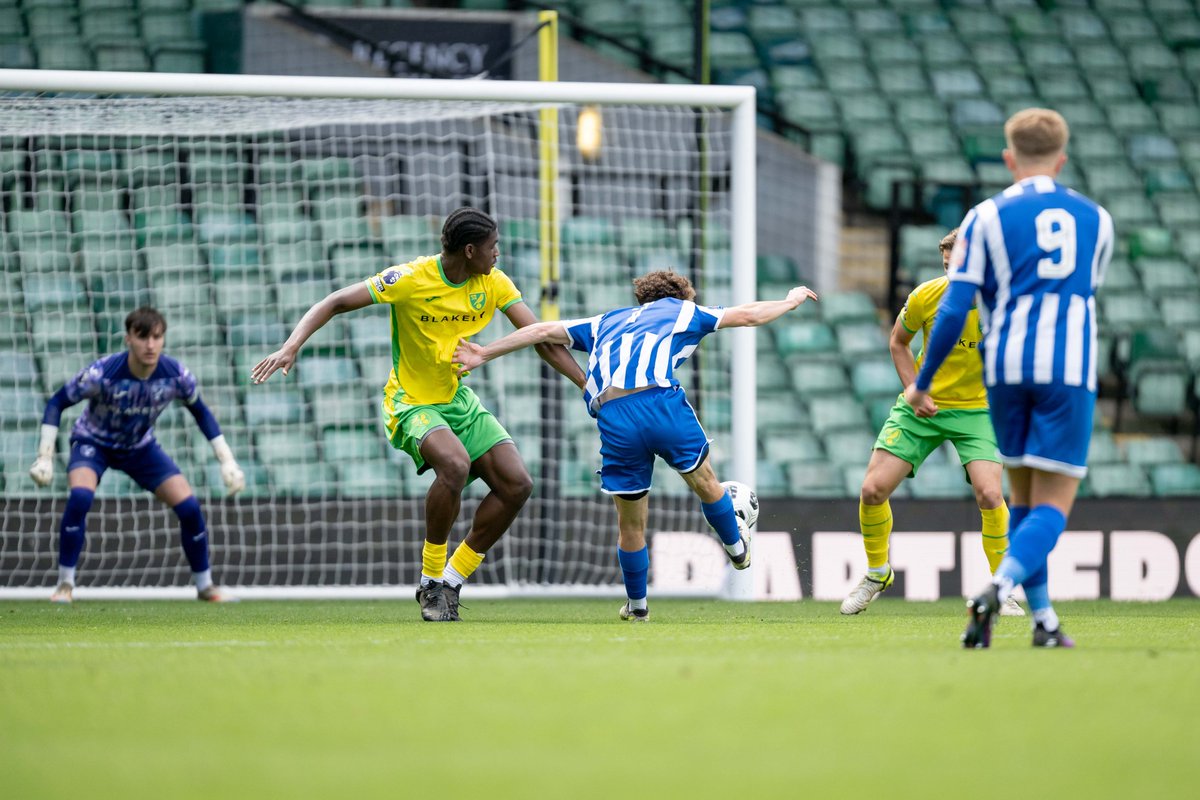 Norfolk FA County Cups tweet media