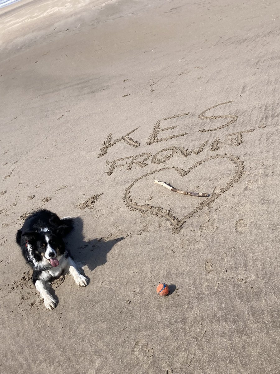 For my friend <a href="/Kesthecollie/">Kes 🐶 😘</a> <a href="/Mattisamazing33/">☠️ Matt 👾</a>