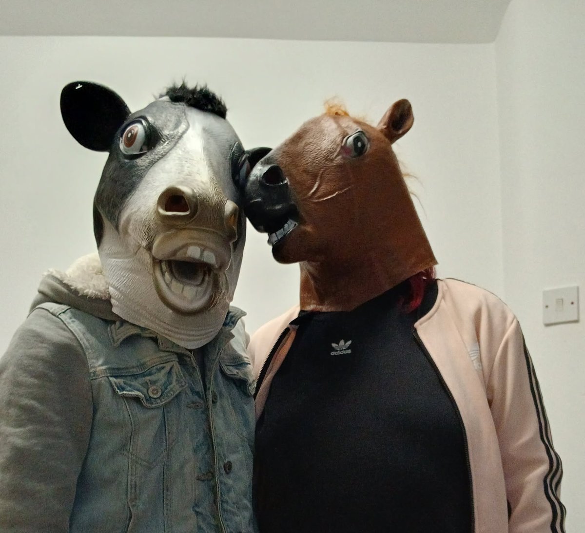 JaideeSam's tweet image. Can't wait to see my fiancée tomorrow. Think it's the longest I haven't properly seen her for, and knowing she'll still be in hospital for another week and a bit is horrid. My bungalow feels so empty without her laughter 😒😕