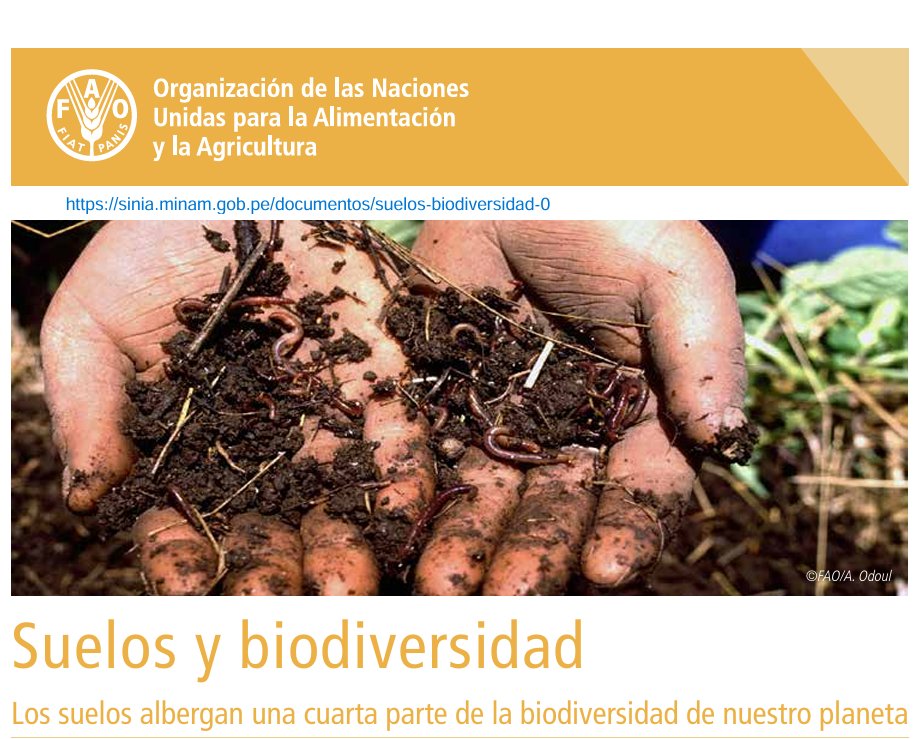 Salqa Perú (@salqaperu) on Twitter photo 