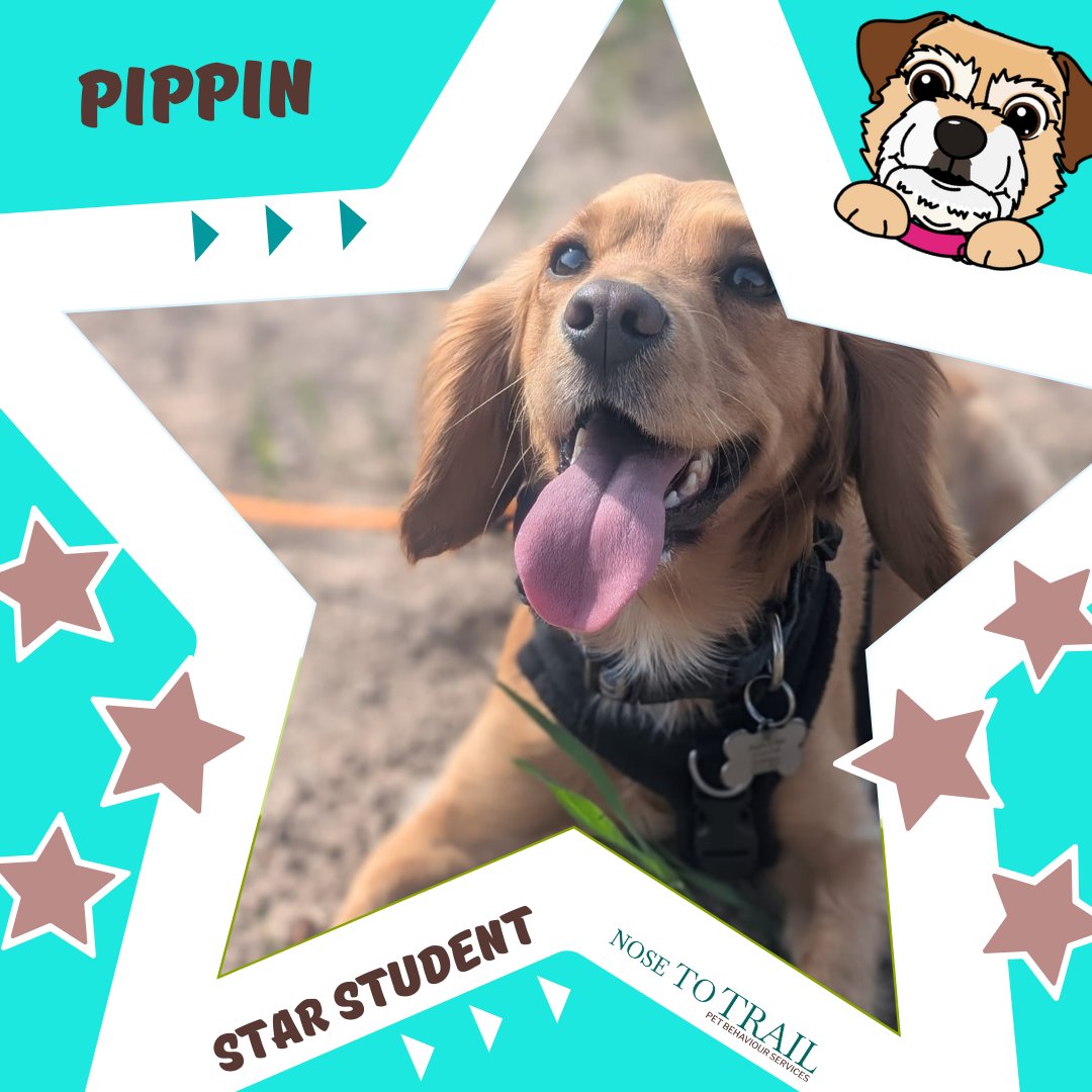 Nose to Trail tweet media