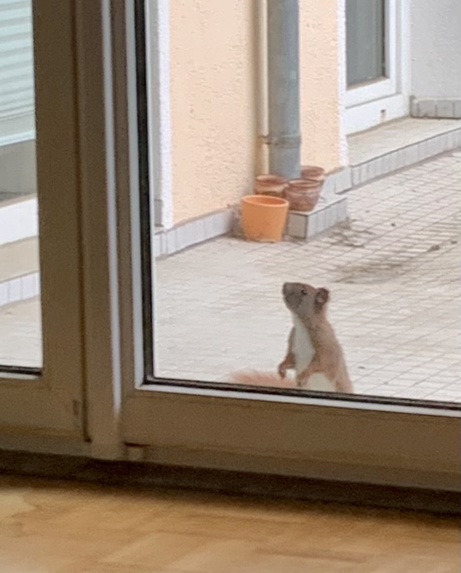 Neuer Mitbewohner ...