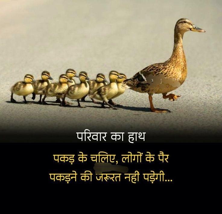 परिवार का हाथ 🕊️