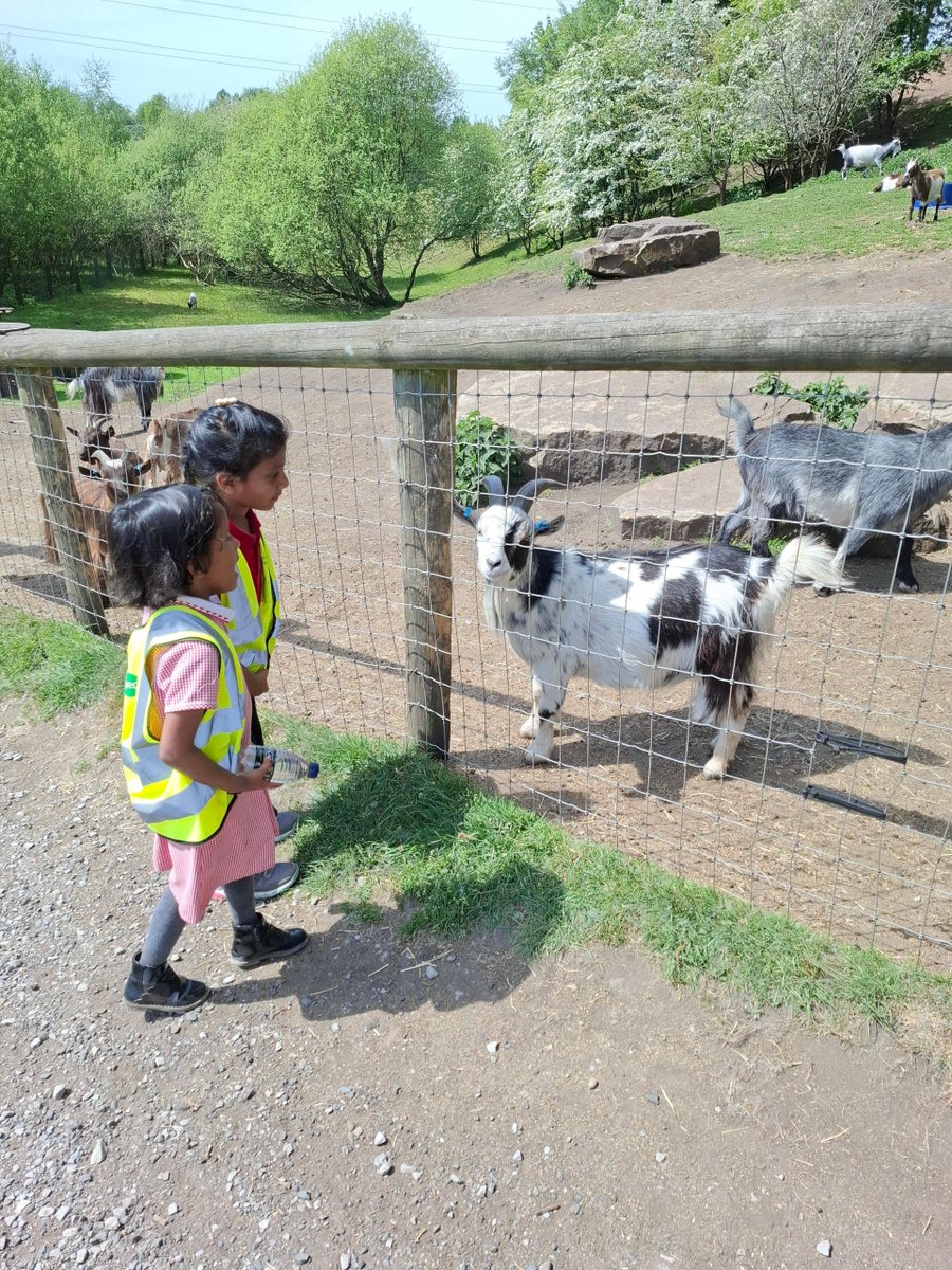 St George's Primary School Hyde tweet media