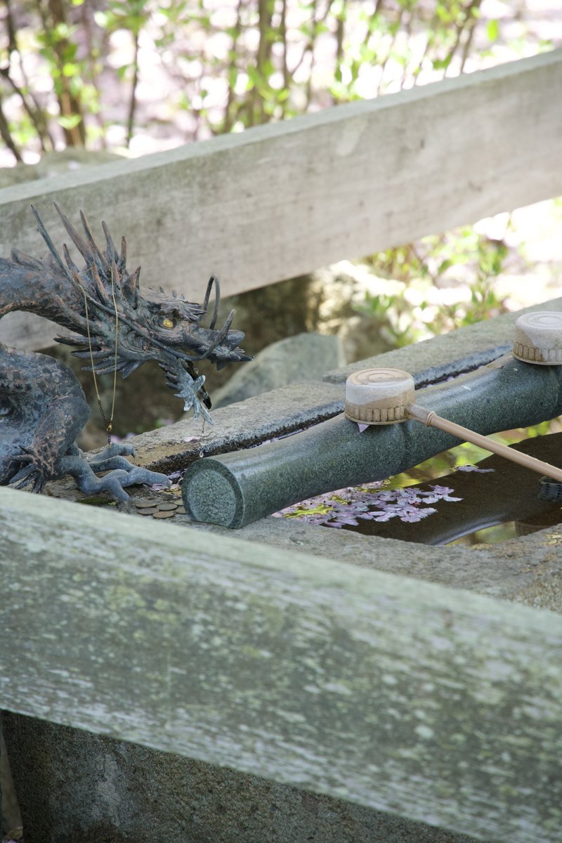 GWのおでかけの記録
ネモフィラと芝桜と手水舎の龍🐉

(ひまわりの丘公園、永沢寺)