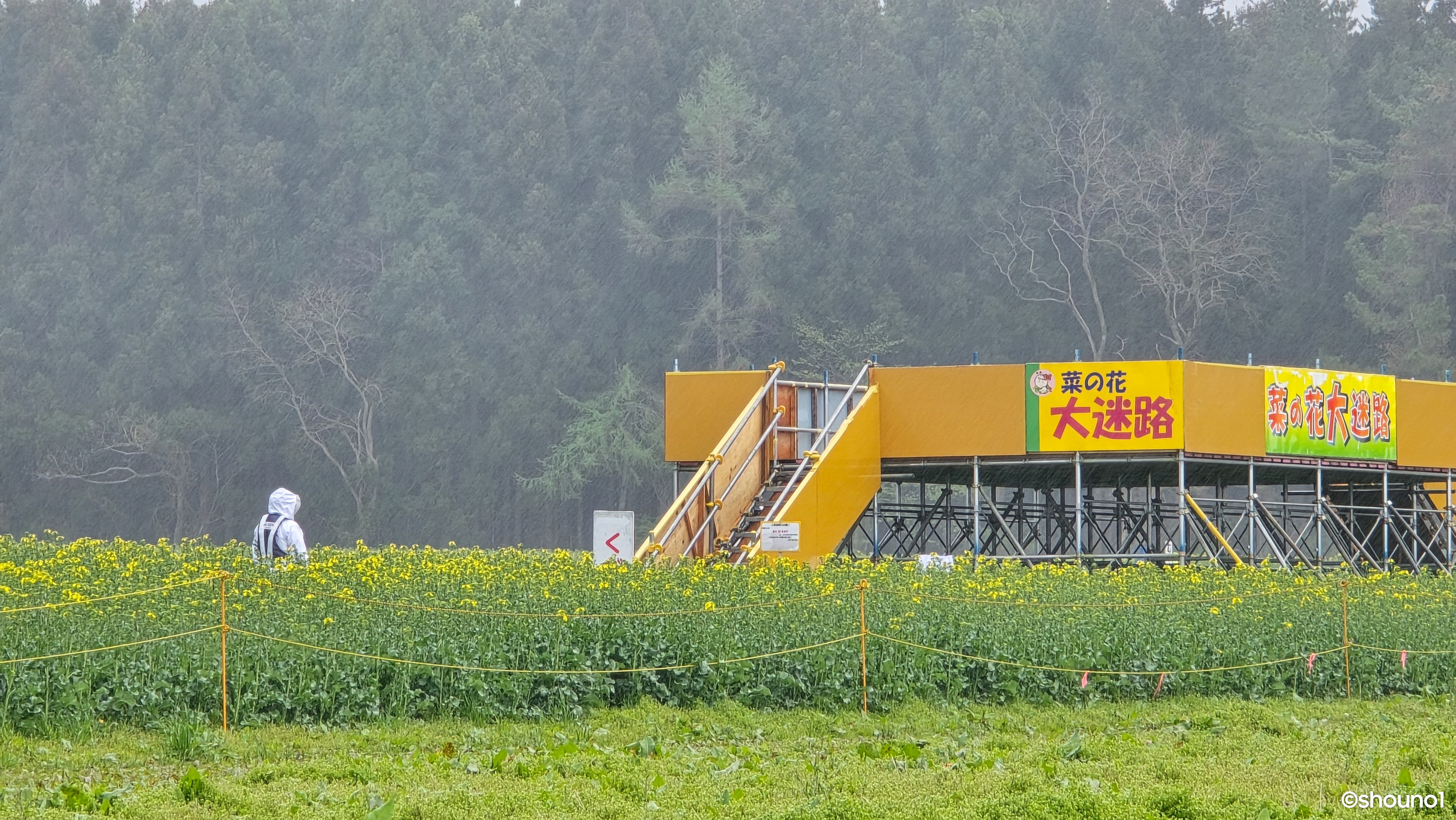 Nゲージ 菜の花畑を走るチビロコ 菜の花畑、パルーズの丘陵地帯 | GANREF