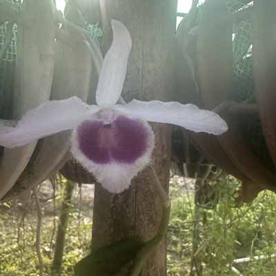 lamqlinh's tweet image. #ẢnhHồsơMới