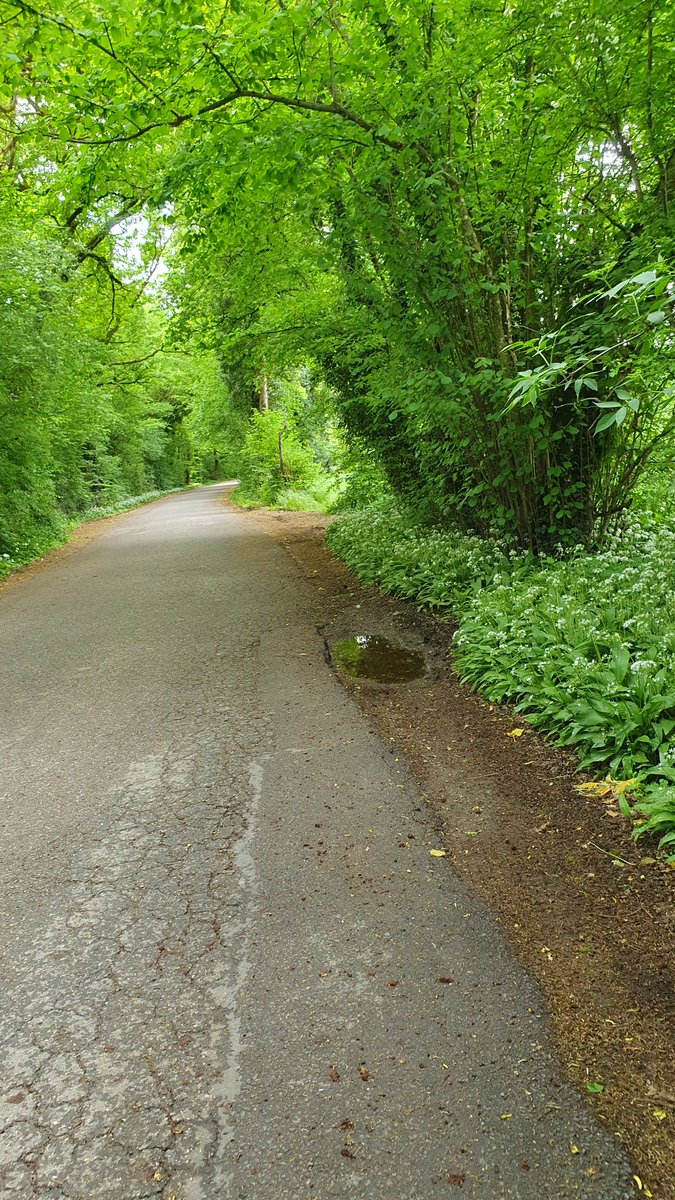 redfish_invest's tweet photo. Jolie petite route de campagne non ?! 🚫 🚗  le dimanche.🌞🚶🏾‍♀️👟
Alors pourquoi toutes ces canettes tout le long ?😡😤
T'as pu l'amener pleine jusqu'ici,  tu peux la rapporter vide dans une poubelle. C pas si compliqué. 
#STEPN #STEPNPlanet 
#DEFIT  @STEP_iN_CRYPTO @Stepnofficial https://t.co/6sWm3mr8st