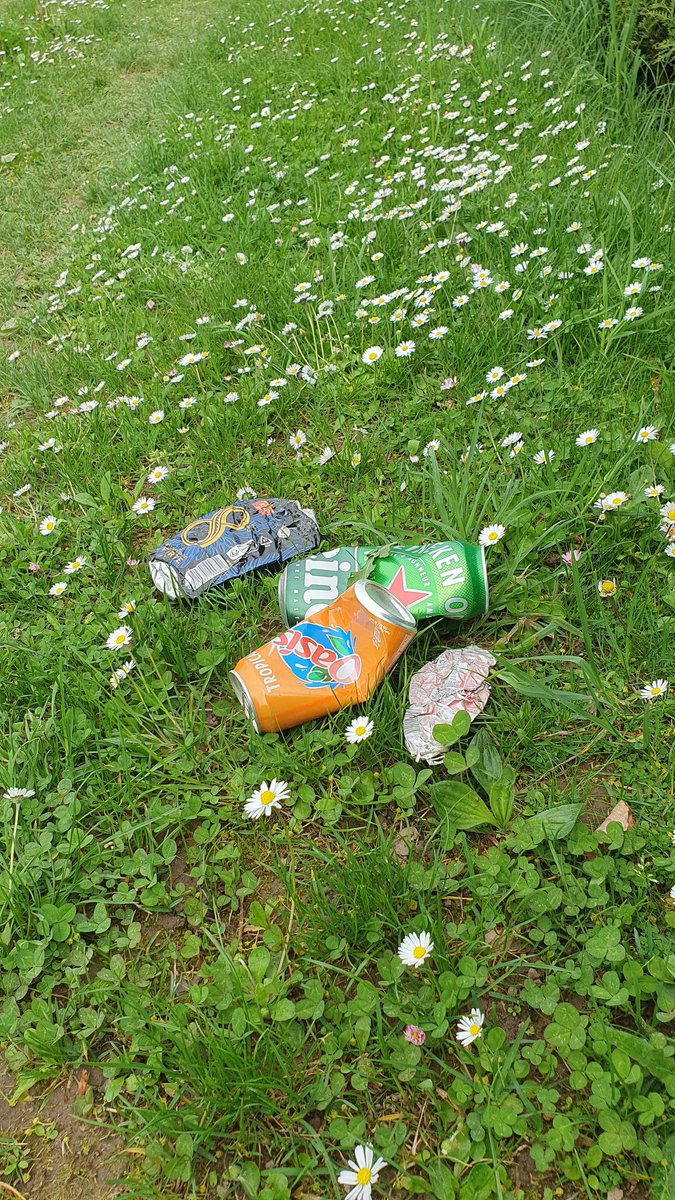 redfish_invest's tweet photo. Jolie petite route de campagne non ?! 🚫 🚗  le dimanche.🌞🚶🏾‍♀️👟
Alors pourquoi toutes ces canettes tout le long ?😡😤
T'as pu l'amener pleine jusqu'ici,  tu peux la rapporter vide dans une poubelle. C pas si compliqué. 
#STEPN #STEPNPlanet 
#DEFIT  @STEP_iN_CRYPTO @Stepnofficial https://t.co/6sWm3mr8st