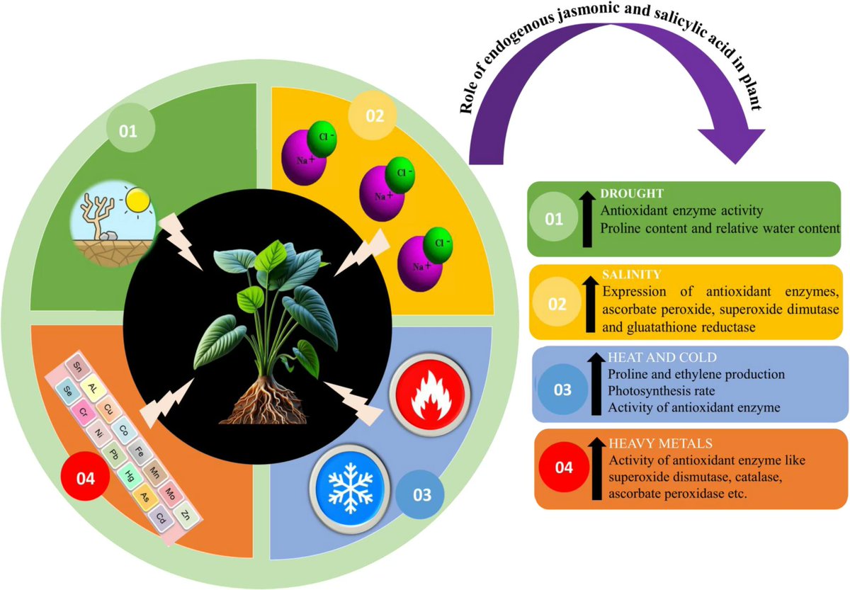AgriExperts (@agriexperts) on Twitter photo Verma et al. reviewed
Crosstalk of #Jasmonic acid and #Salicylic acid with other #Phytohormones Alleviates #Abiotic and #Biotic #Stresses in Plants
<a href="/AbioticStress/">Abiotic stress in plants (Green Survivors)</a> <a href="/Ale_Raza6/">Ali Raza</a> <a href="/rajvarshney/">Rajeev Varshney FRS</a> <a href="/palak3129/">Palak Chaturvedi</a>
<a href="/IveDeSmet1978/">Ive De Smet</a> <a href="/R_Sasidharan/">Rashmi Sasidharan</a> <a href="/CSIR_IHBT/">CSIR-Institute of Himalayan Bioresource Technology</a>
link.springer.com/article/10.100… Verma et al. reviewed
Crosstalk of #Jasmonic acid and #Salicylic acid with other #Phytohormones Alleviates #Abiotic and #Biotic #Stresses in Plants
<a href="/AbioticStress/">Abiotic stress in plants (Green Survivors)</a> <a href="/Ale_Raza6/">Ali Raza</a> <a href="/rajvarshney/">Rajeev Varshney FRS</a> <a href="/palak3129/">Palak Chaturvedi</a>
<a href="/IveDeSmet1978/">Ive De Smet</a> <a href="/R_Sasidharan/">Rashmi Sasidharan</a> <a href="/CSIR_IHBT/">CSIR-Institute of Himalayan Bioresource Technology</a>
link.springer.com/article/10.100…