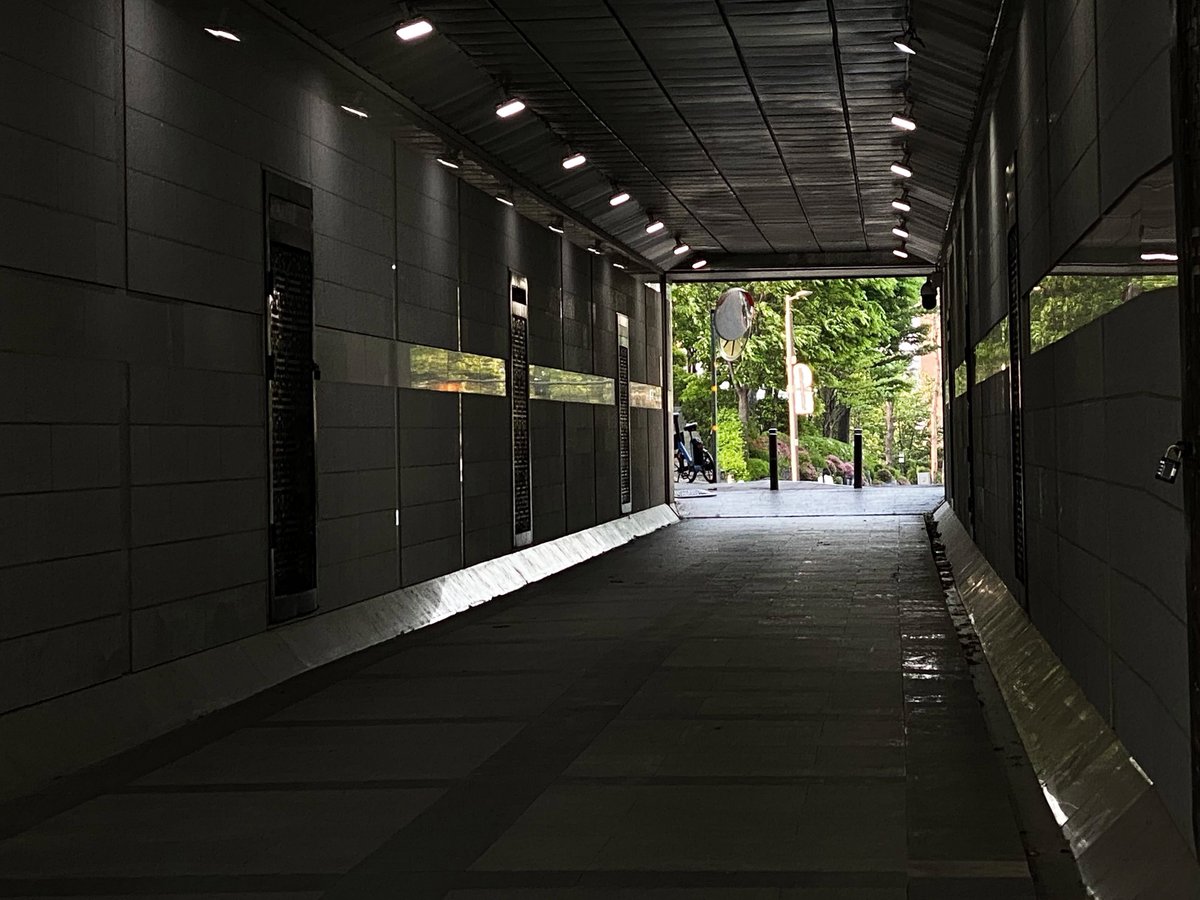 터널은 다른 세계로 가는 문이 되어