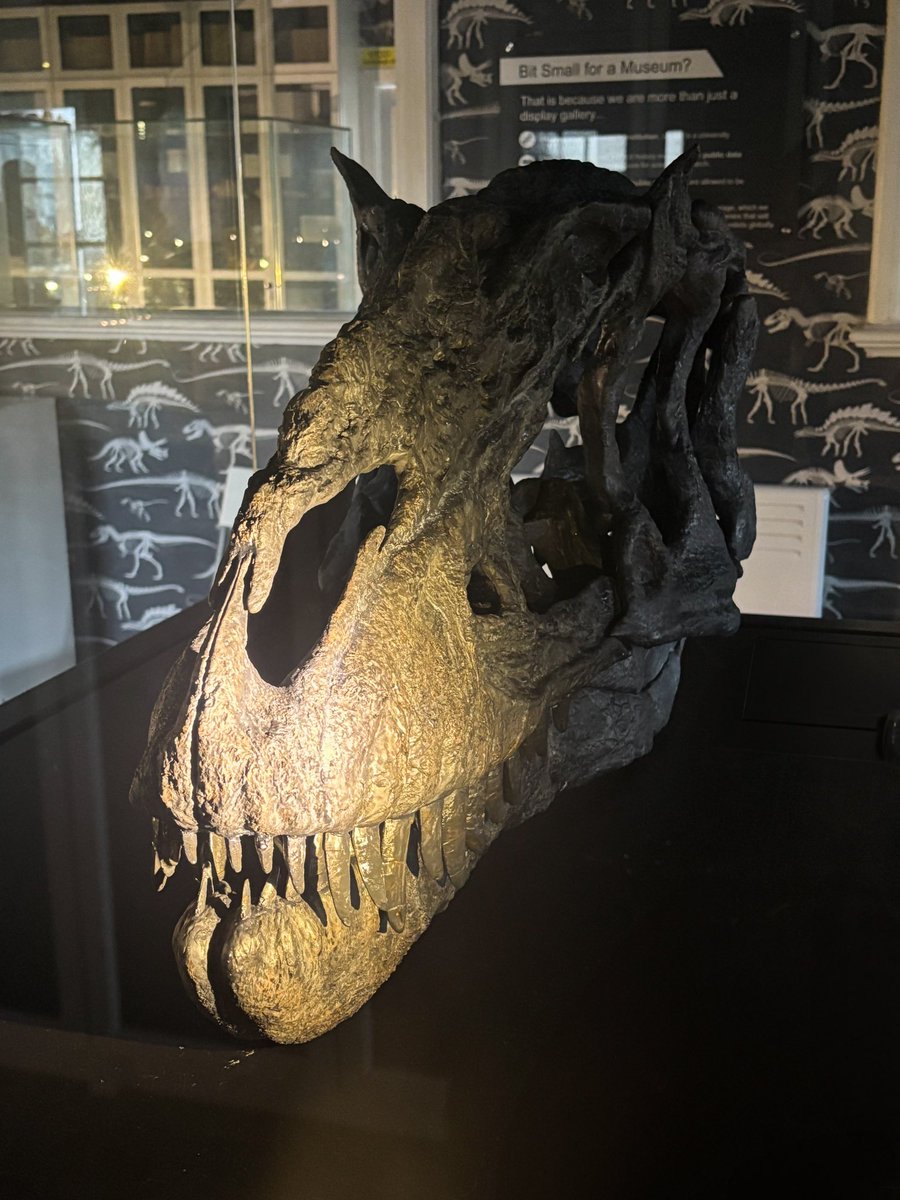 Yorkshire Natural History Museum tweet media