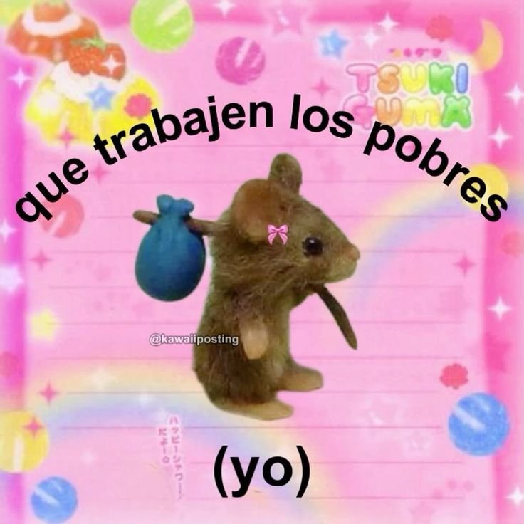 animalitos gorditos tweet media