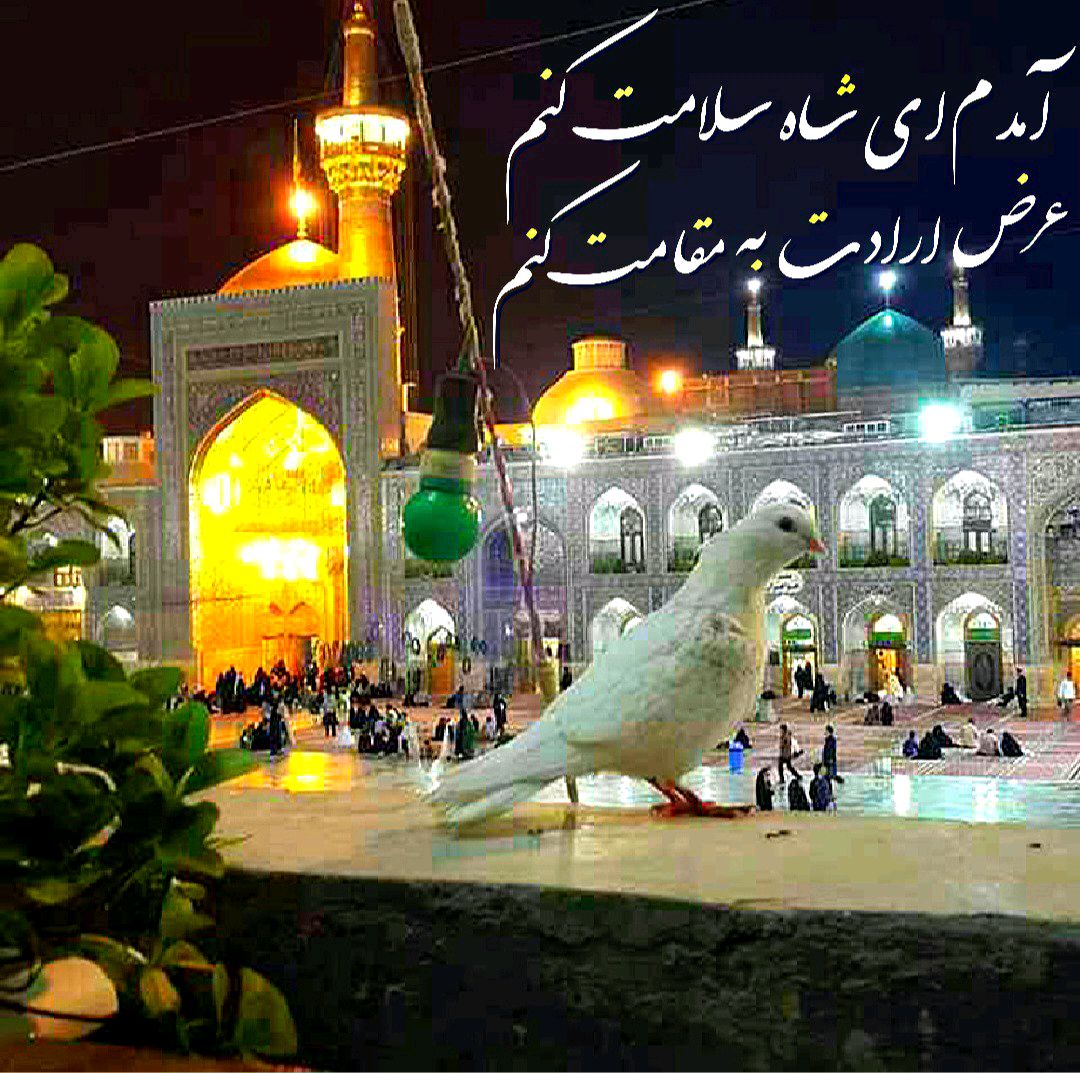 در قلبِ کوچکِ من ؛ تو بزرگترینی  ؛)
امام رضا

#ایران_امام_رضا 
#پناه_هشتم