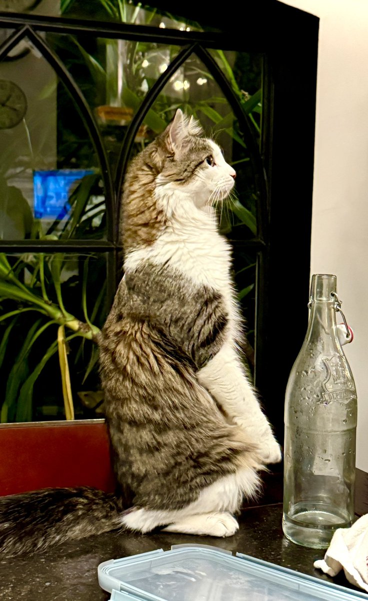 Page #0222 Agenda perpétuel - Téléchargement instantané - PDF à imprim –  Créations Joëlle Mercier, image size:736x1200