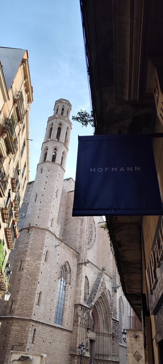 Masterclass de Sake para los alumnos del Curso de Especialización de Cocina Japonesa en la Escuela Hofmann 🍶🍣

En la clase catamos varios sakes de Okayama, Kochi, Wakayama y Gifu, todos ellos disponibles en España gracias al importador <a href="/tokyoya_es/">TOKYO YA</a>.