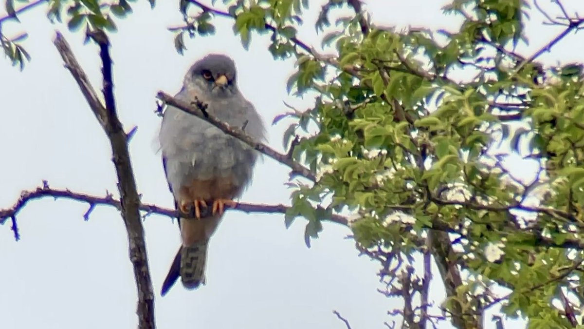 James Wilkinson tweet media