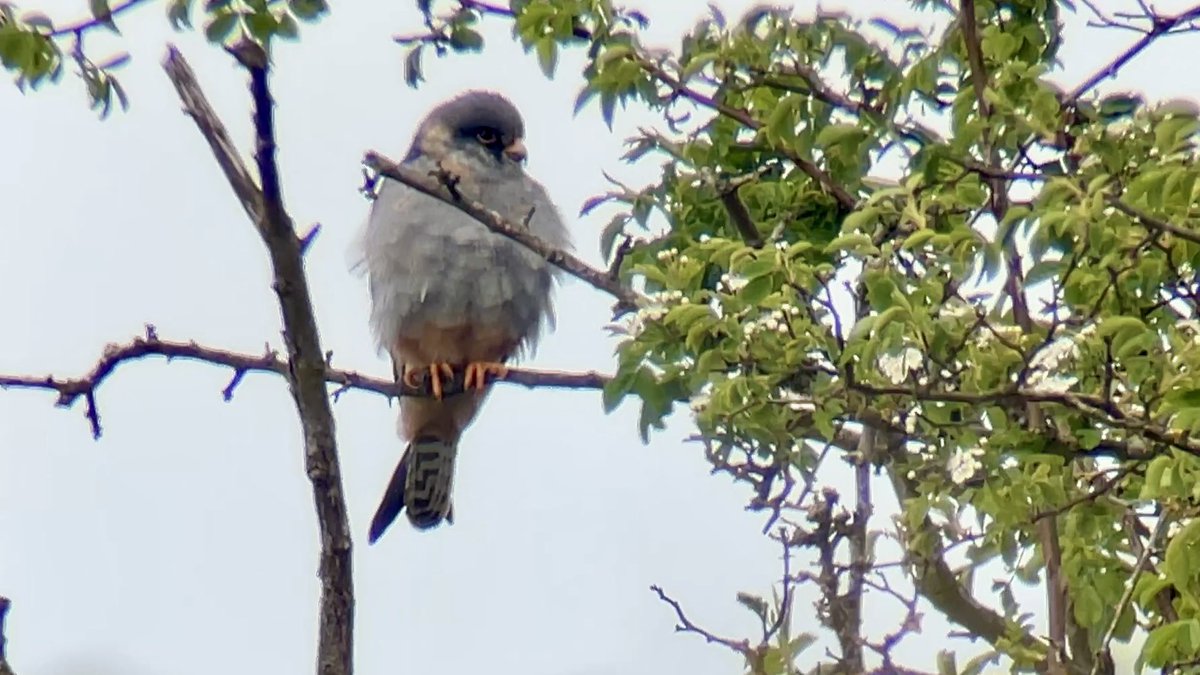 James Wilkinson tweet media