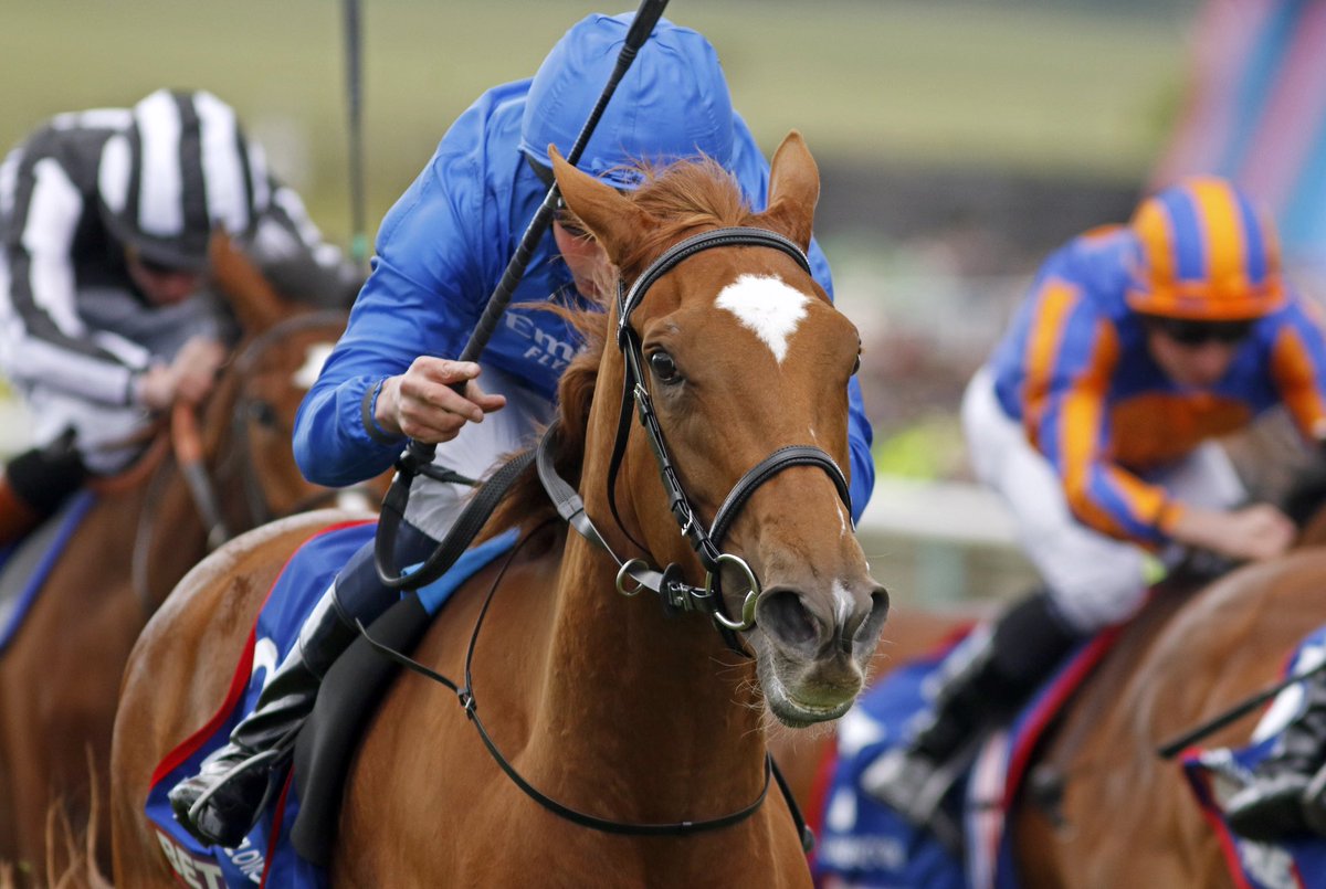GBRI (@gbri_uk) on Twitter photo DESERT FLOWER wins the Gr.1 1000 Guineas Stakes to complete a Guineas double for <a href="/godolphin/">Godolphin</a>! 🔵
The filly remains unbeaten in five runs for HH Sheikh Mohammed and Charlie Appleby. 👏
<a href="/WilliamBuickX/">William Buick</a> | <a href="/NewmarketRace/">Newmarket Racecourse</a> DESERT FLOWER wins the Gr.1 1000 Guineas Stakes to complete a Guineas double for <a href="/godolphin/">Godolphin</a>! 🔵
The filly remains unbeaten in five runs for HH Sheikh Mohammed and Charlie Appleby. 👏
<a href="/WilliamBuickX/">William Buick</a> | <a href="/NewmarketRace/">Newmarket Racecourse</a>