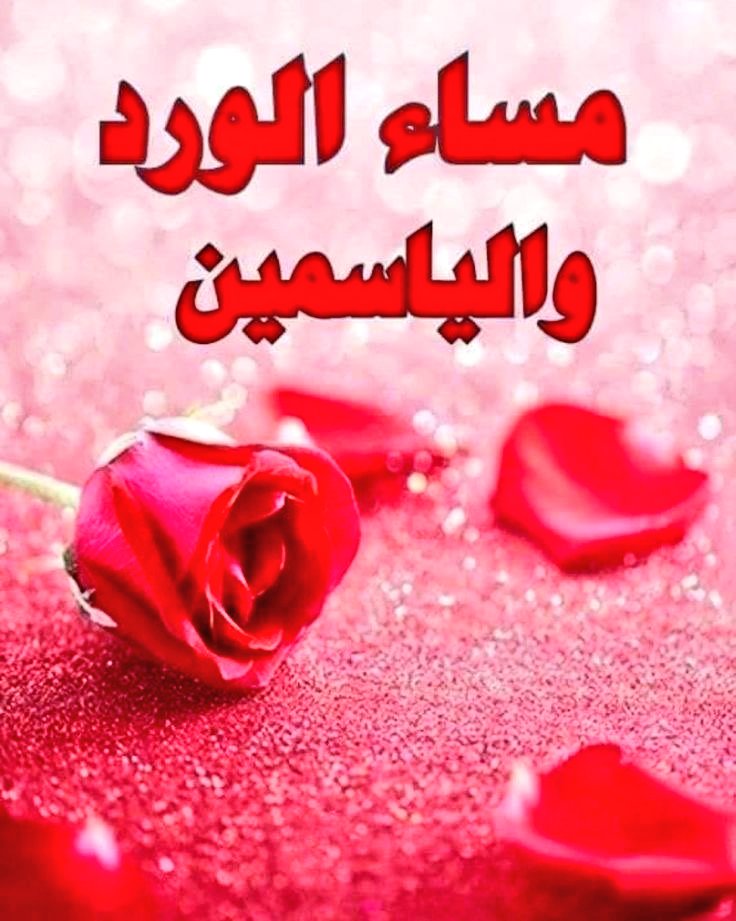 سام🔥💯🔥💯🔥💯 (@samalali_s) on Twitter photo 