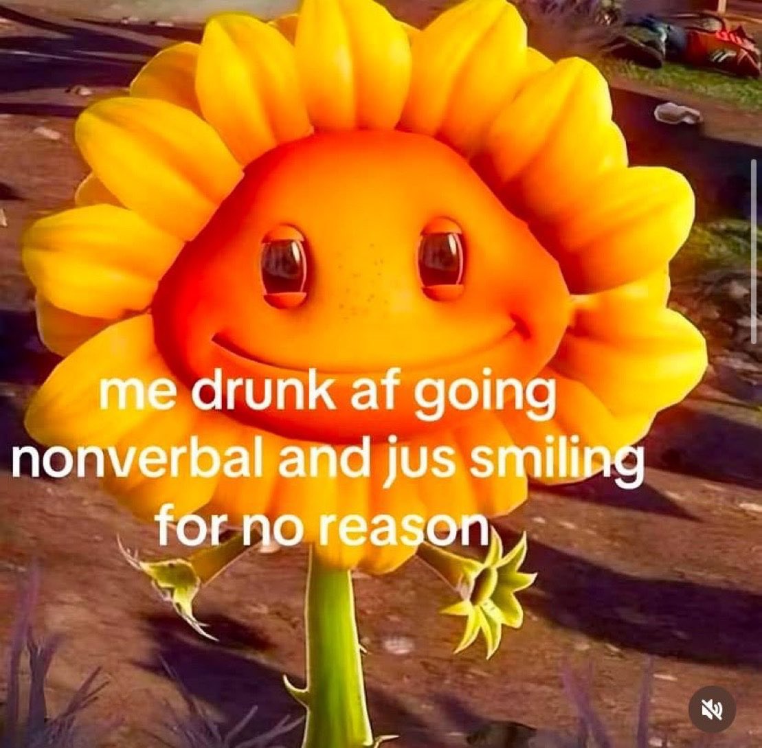 chaotic memes (@memechaotic) on Twitter photo 
