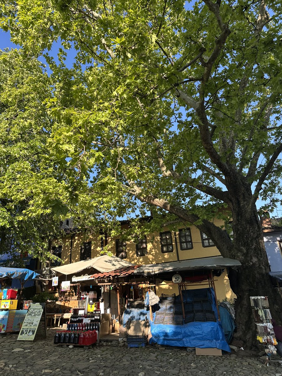 An early morning walk in Cumalikizik, Bursa  in Türkiye - a UNESCO World Heritage Site.