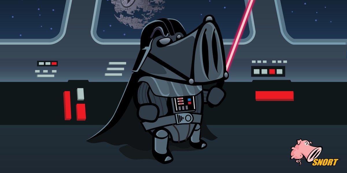 Our social media manager hasn’t seen Star Wars (we know, we’re shocked too), but she hears today’s kind of a big deal. So from all of us on the Snort team… May the fourth be with you! 🚀✨