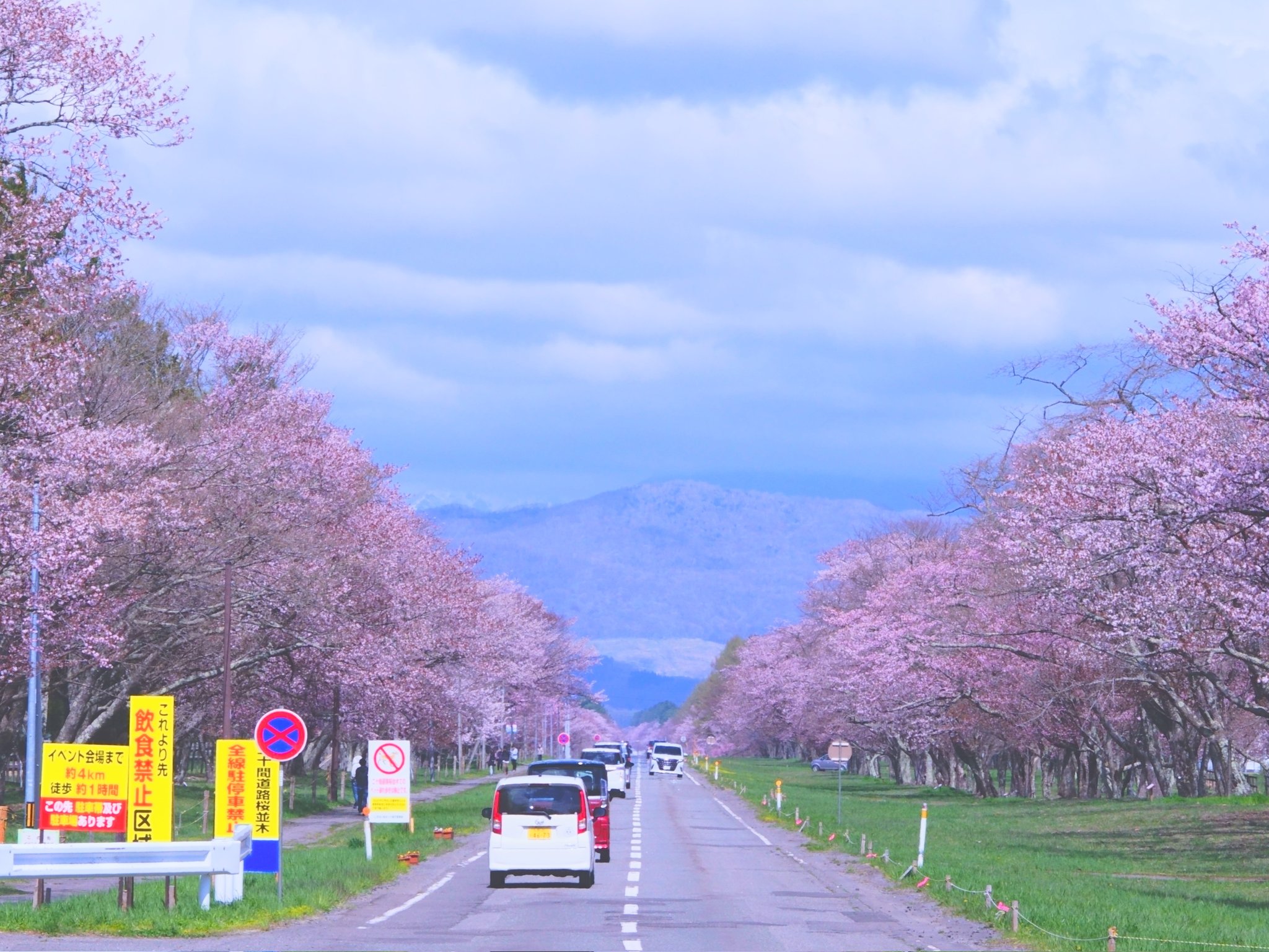 き〜さん | . うっすらと色づく風景 これぞ日本の春！ . #新倉山