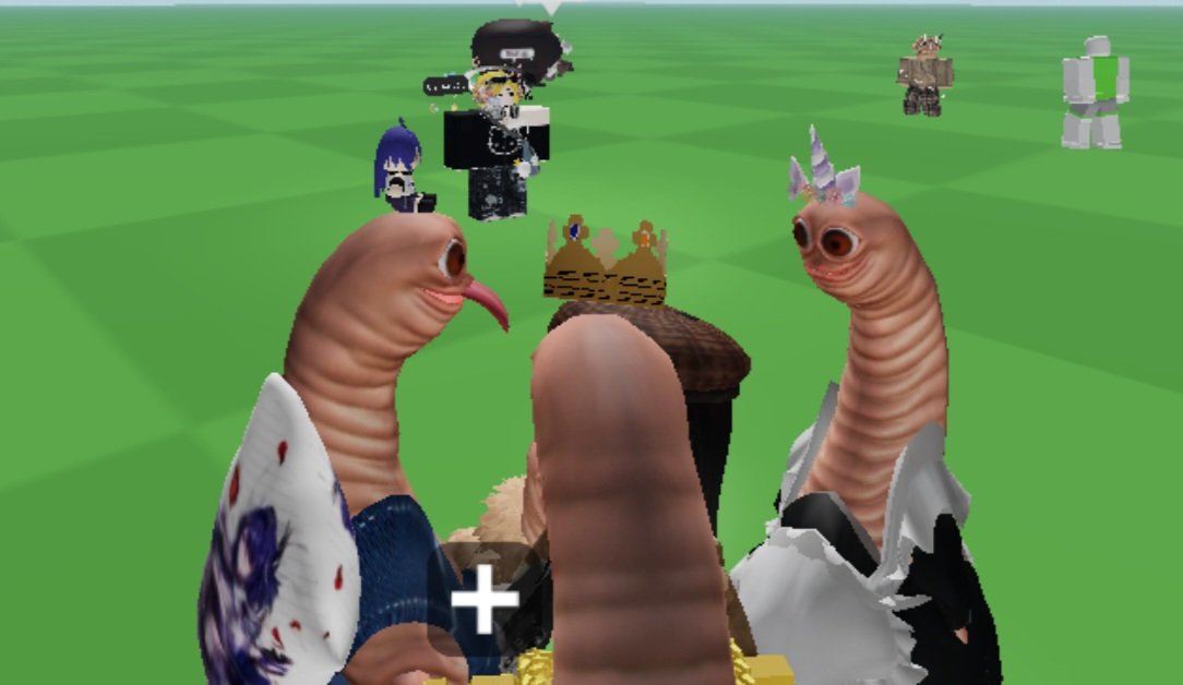 WHAT ARE THESE😭😭