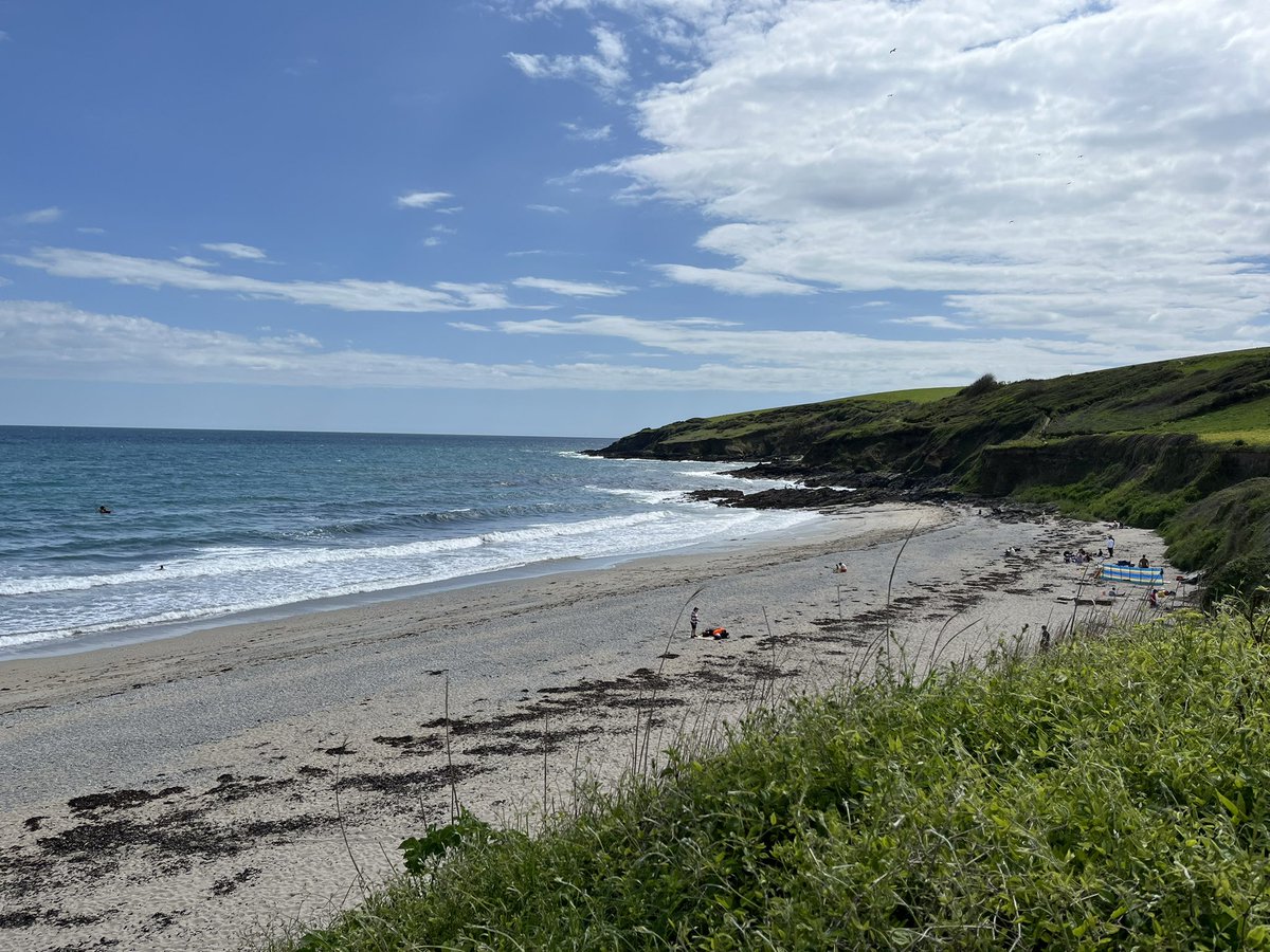 EvocativeCorn's tweet image. Beautiful Roseland - Gerrans to Porth Chapel