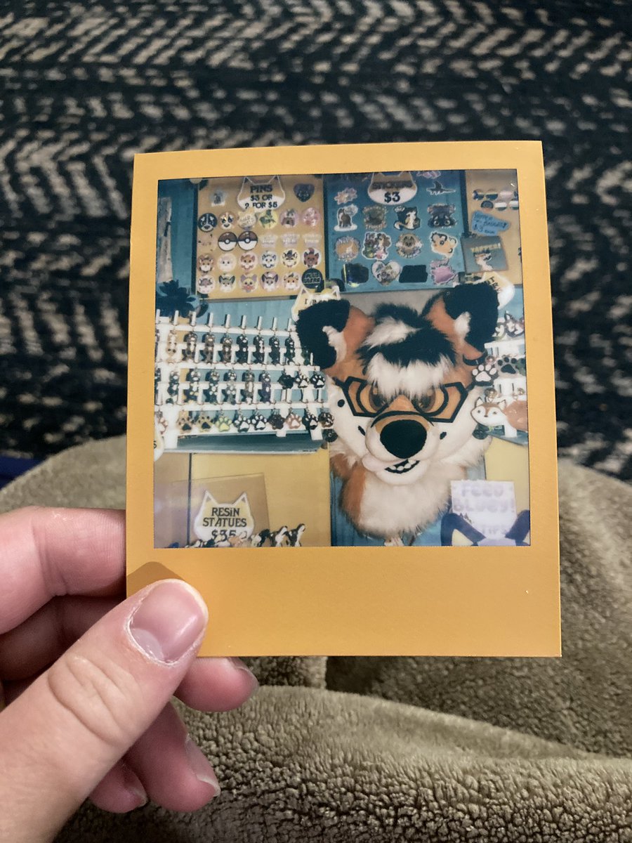 ⭐️ Discordant Fox Designs ⭐️ tweet media