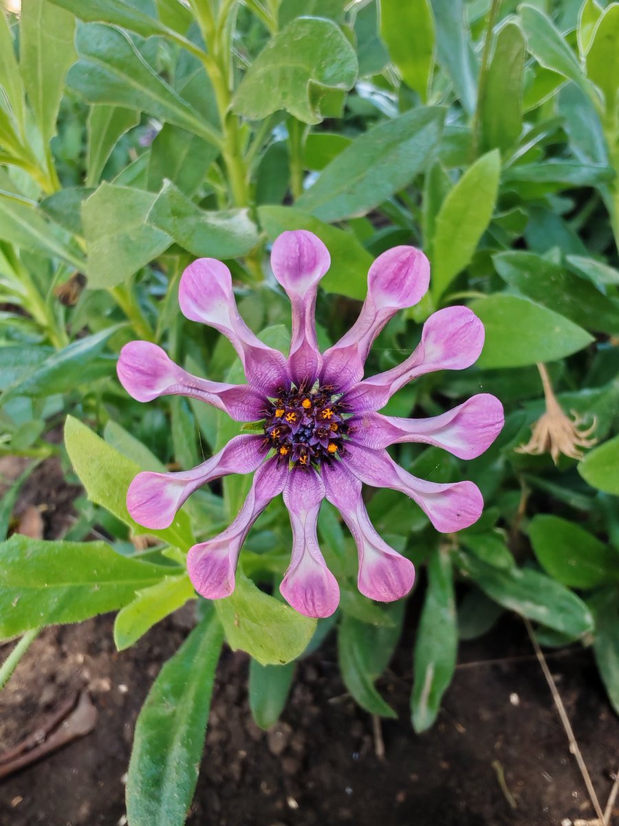 Jorge Casaña (@camatxo) on Twitter photo 