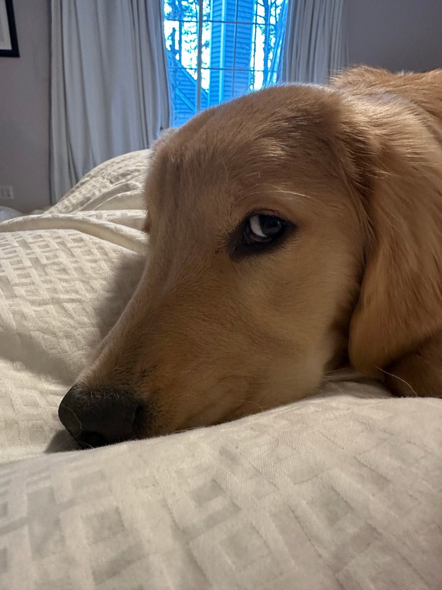 Y’all are doing it wrong.

“May the Fourth be with you.”

WRONG: “And also with you.”

RIGHT: “And with your spirit.”

Really? You needed a witch to tell you that? *Maggie judgmental side-eye*