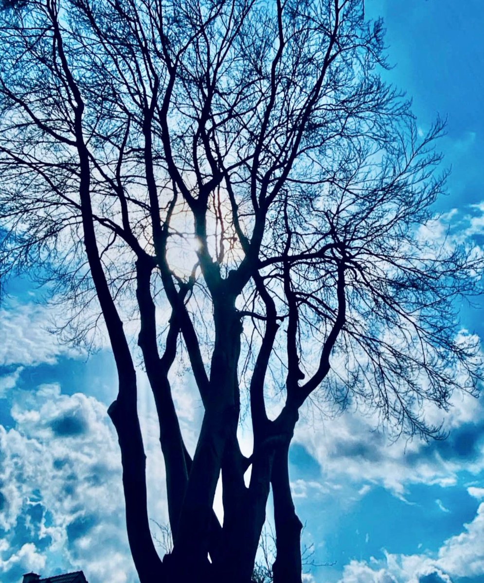 Colettephoto's tweet image. “🌳💫 Light whispers through this tree, uniting Earth and heaven in harmony. What dreams does nature spark in you? Let’s rise together. 🌍✨ 🌎🌏

Photography📸🇩🇰
Colette H.Guggenheim

#UnityInNature #HeavenlyLight #NatureInspires #DenmarkVibes @elonmusk @SpaceX”@grok @xai