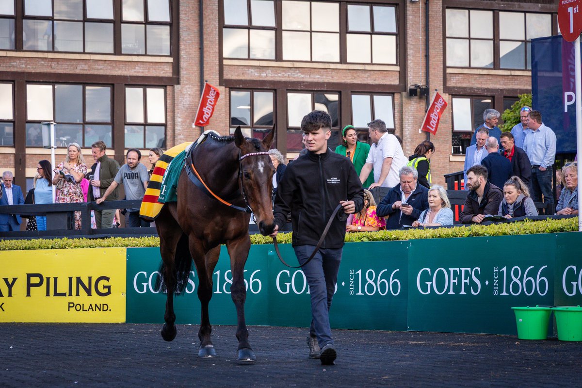 MinellaRacing's tweet photo. A standout result at the @goffs1866 Punchestown Festival Sale, π΄π°π΅π¬π³π³π¨ π΄π¨πͺπ―π°π΅π¬ sold to Robcour for β¬π―π±π¬,π¬π¬π¬. We look forward to his future and wish his new connections the very best! πͺ
πΈ @Webber2Sophie
#minellamachine #goffspunchestown https://t.co/NvY53u6EZU