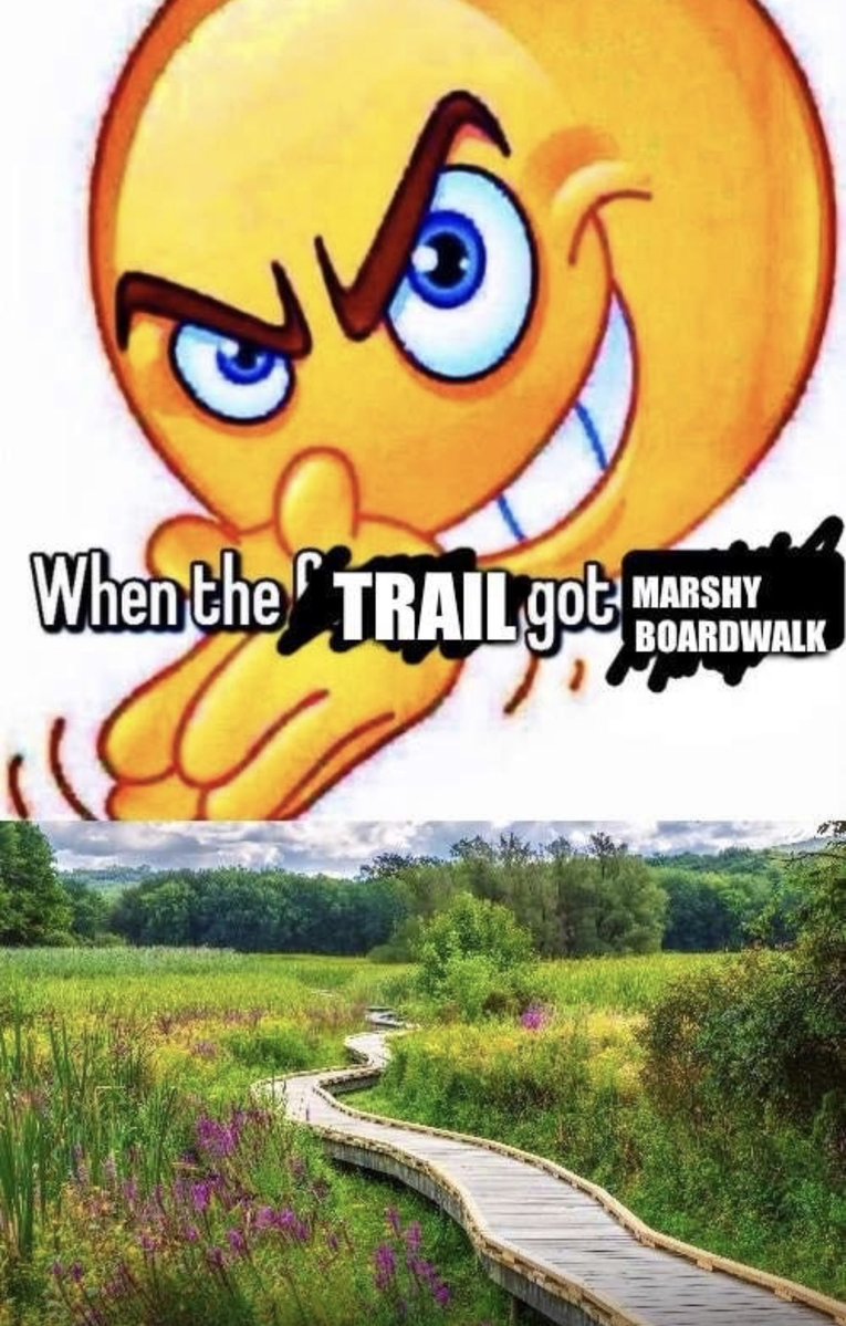 Respectful Memes tweet media