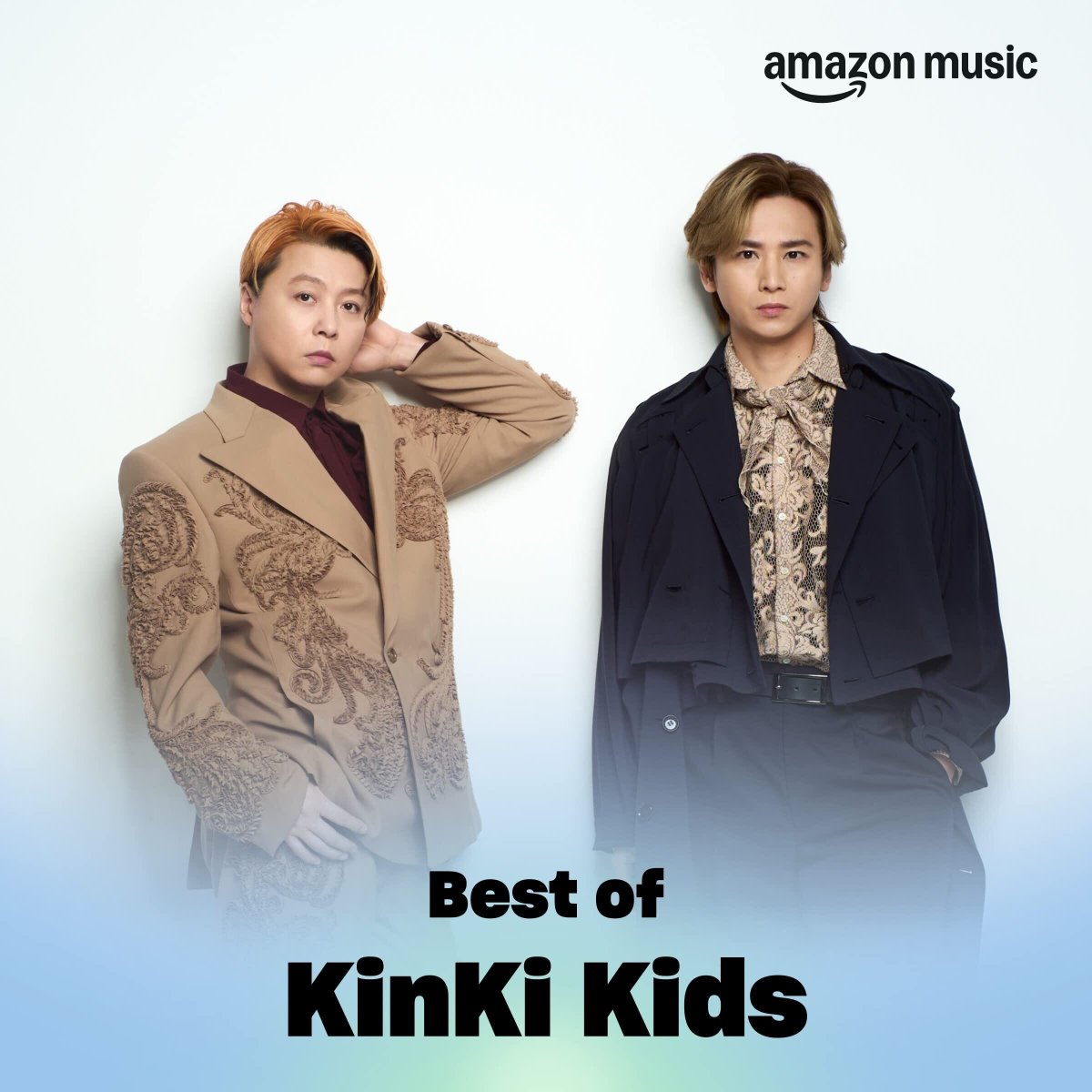 複数 他 BluRay 20.1.21 通常 KinKiKids aiさま専用