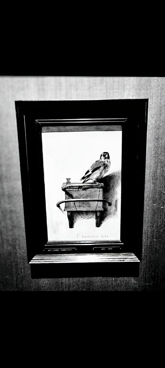 SorphyPa's tweet image. Inspiration
Carel Fabritius
inspired Donna Tartt
To write her Pulitzer decorated book
'the Goldfinch'.
Read it.
Found my own puberty,
described by a woman so well,
that it inspired me,
to start my own novel,
with a female lead.
-Anna-
Seeing it live,
meant.
Netherlands