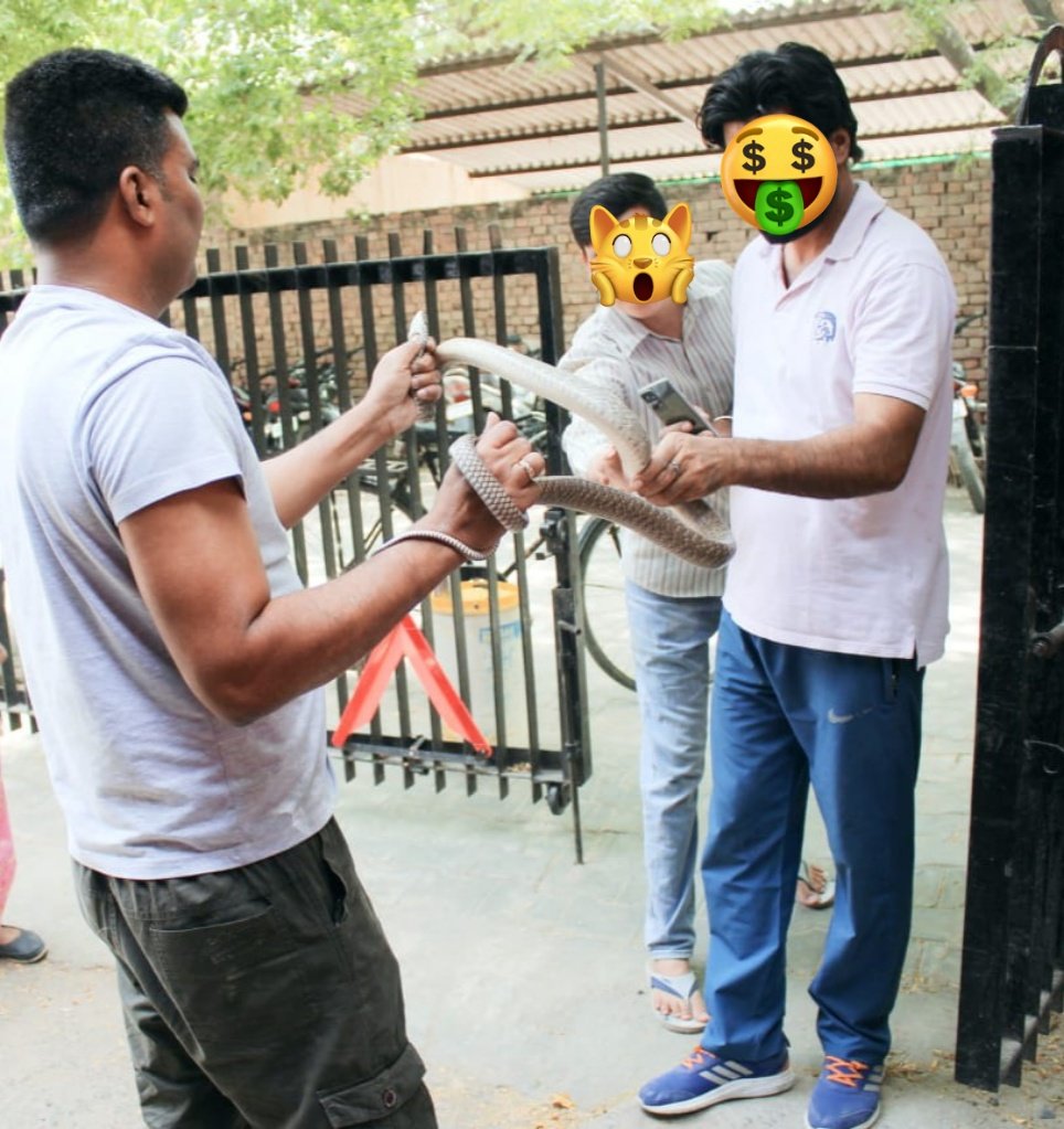 dhruman39's tweet photo. When you #Fear the #snake the #most but you also not want to #miss the #chance to #touch it !!💪💪
#Rescue #RescueOnly
#snakecatching #saveanimal https://t.co/1JIOMSsKaO