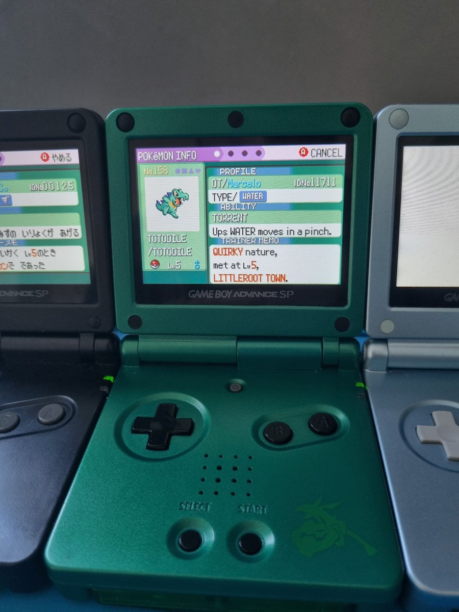 Shiny Totodile on Emerald after 11644 SRs! Got it on my Master file too, such a relief, my first battle video method hunt complete! #ShinyPokemon