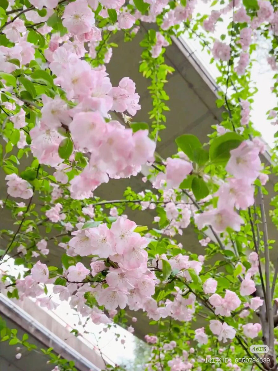 𓆩♡𓆪 (@fairyprxncess) on Twitter photo 