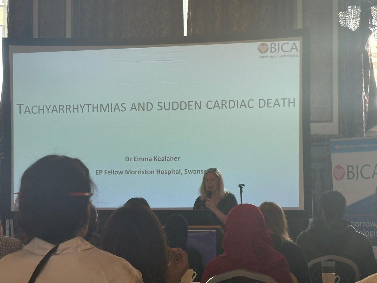 Thank you to <a href="/TheBJCA/">BJCA 📊</a> for inviting me to speak at #BJCACore2025!