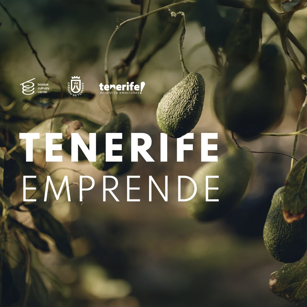 CITGuimar's tweet photo. Tenerife se convierte en punto de encuentro para el emprendimiento gastronómico del archipiélago.

Una jornada para inspirarse, aprender de quienes ya están en el camino y descubrir nuevas formas de emprender con sentido y conexión al lugar.

5 de mayo / CIFP en Adeje https://t.co/6UX2Z03Idd